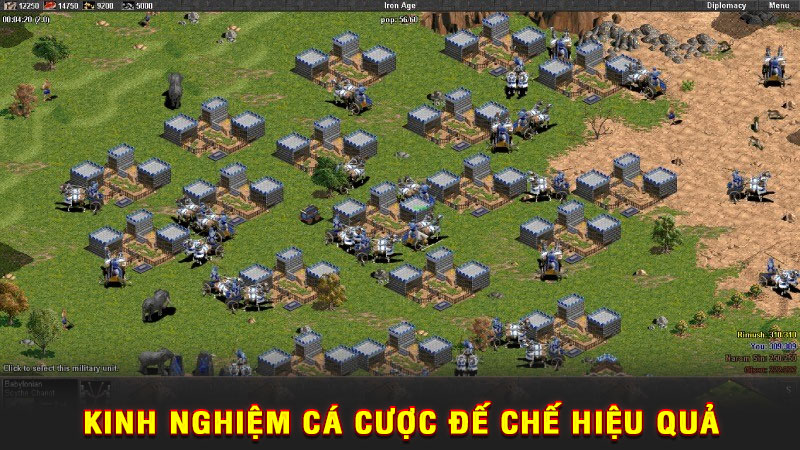 kinh nghiệm cá cược đế chế hiệu quả